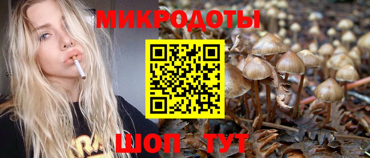 Галлюциногенные грибы Psilocybe  Псилоцибиновые грибы Psilocybe  Вход с VPN  наркошоп  Елец 