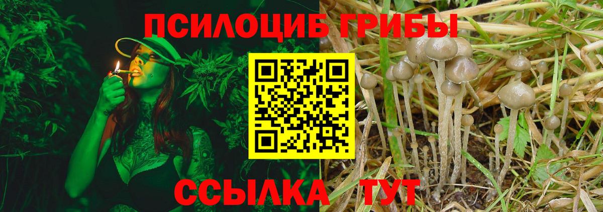 Галлюциногенные грибы MAGIC MUSHROOMS Елец